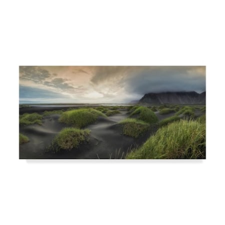 Danny Head 'Black Dunes Panorama' Canvas Art,16x32